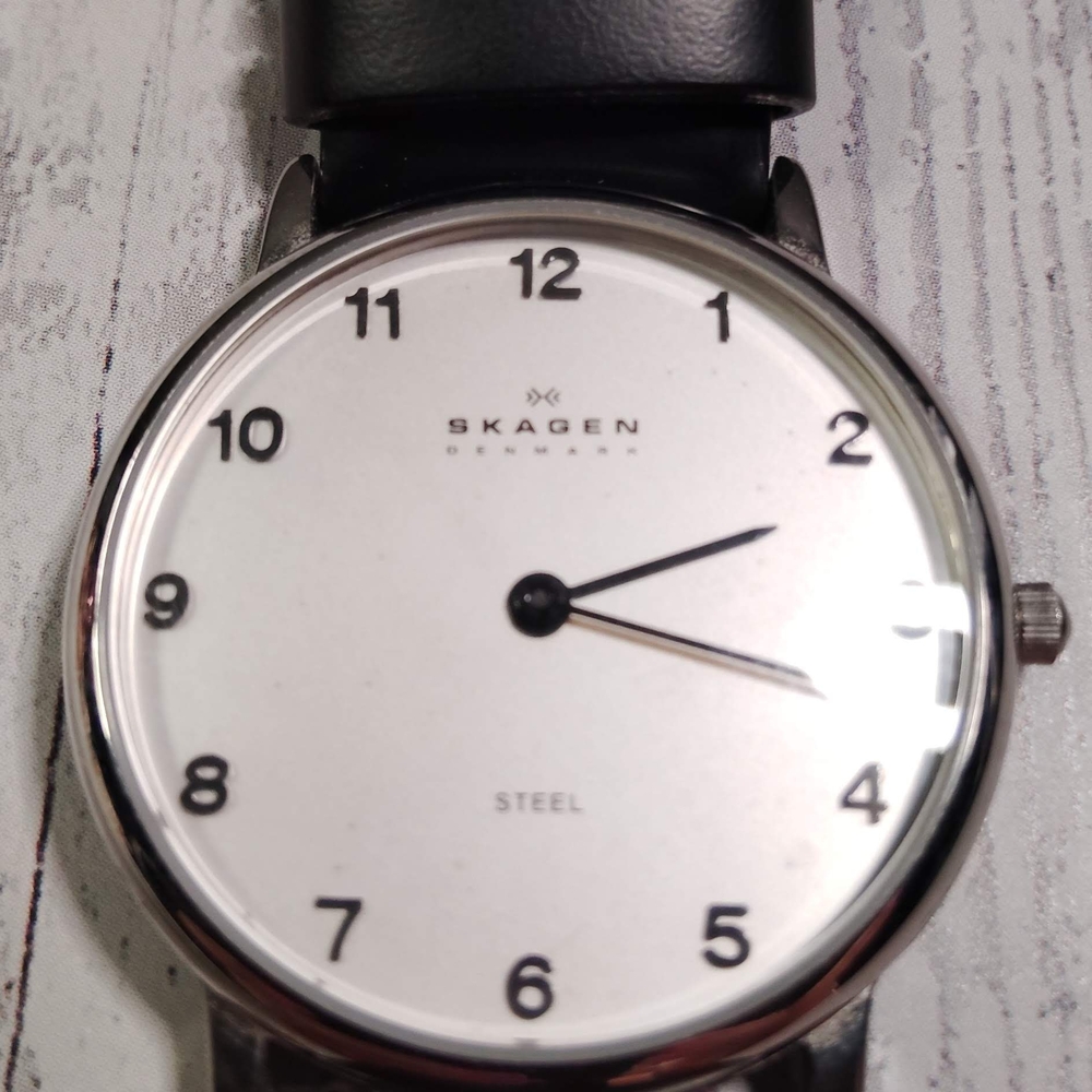 Skagen Black Strap Silver Case Watch